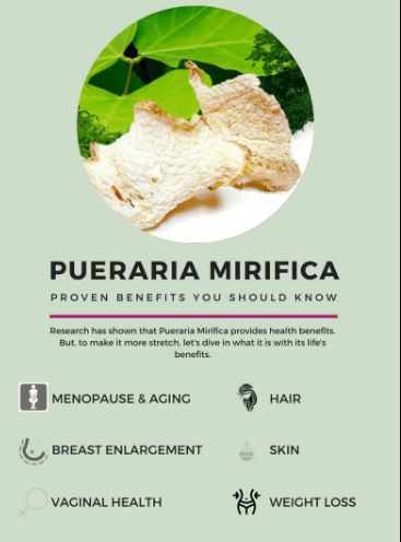 Pueraria Mirifica Extract Benefits Pueraria Mirifica Extract Benefits