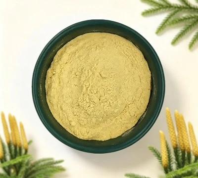 Lycopodium гомоспоровый или гетероспоровый? Ботаническое руководство поставщика порошка ликоподия