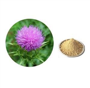 Порошок расторопши