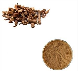 Порошок корня Bupleurum