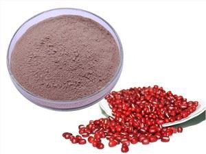 Замороженный порошок красной фасоли